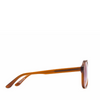 Root Cause Analysis- Gopher